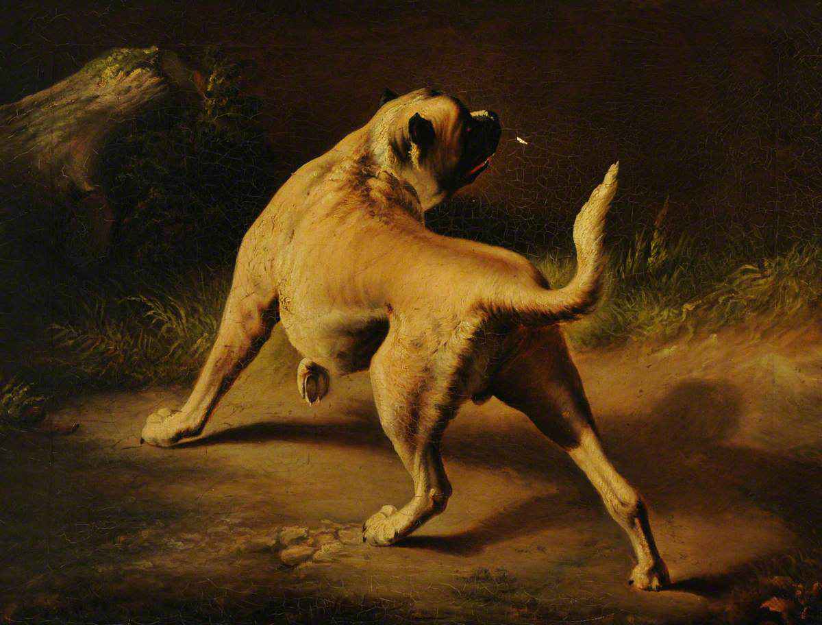 Edwin Landseer, Public domain, via Wikimedia Commons